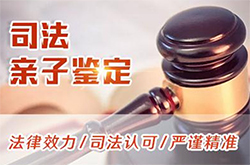 西藏司法亲子鉴定多少费用，西藏司法DNA鉴定如何办理